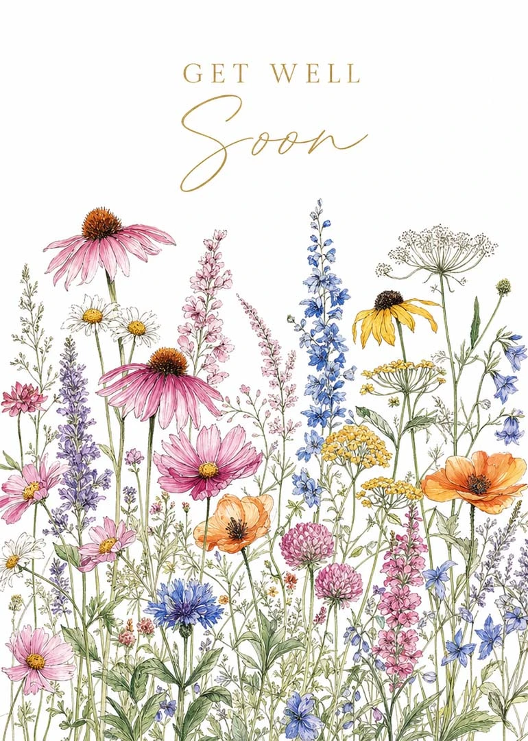 Wildflower get well card with gold lettering and meadow blooms in pink, blue, and orange.