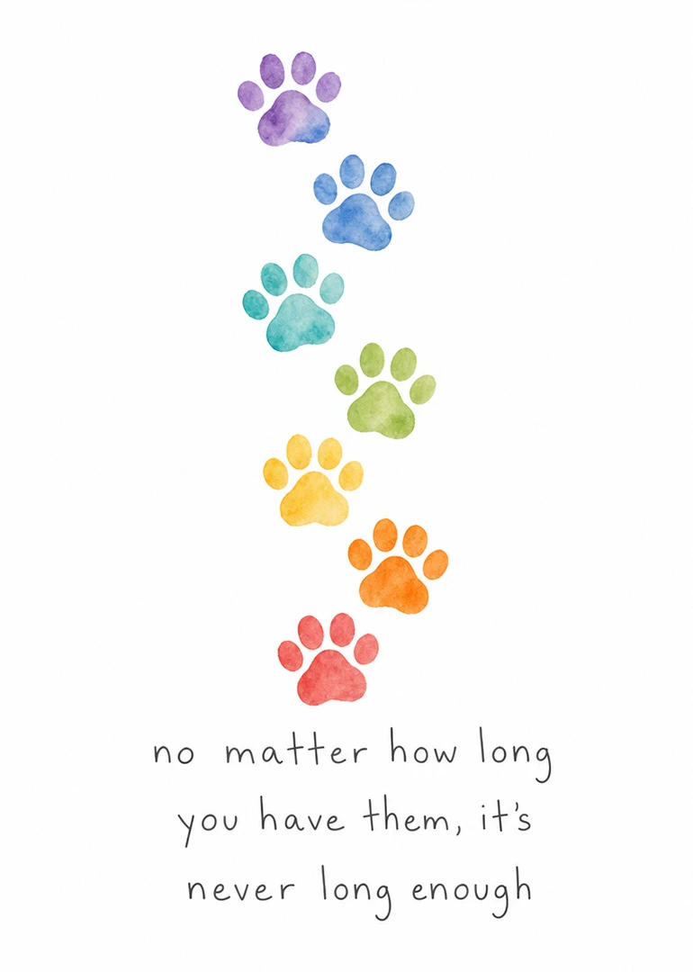 Rainbow watercolor paw prints trail down the card above a comforting message about pet loss.