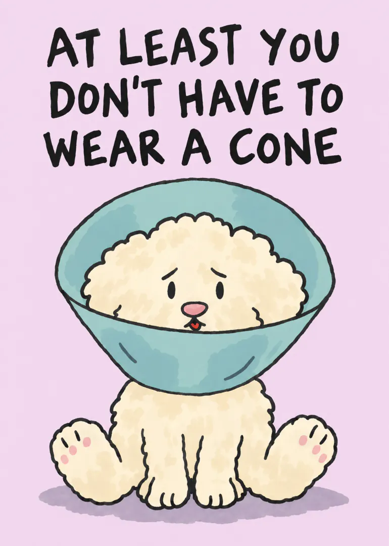 Illustrated fluffy cream dog wearing a blue veterinary cone with a humorous get well message.
