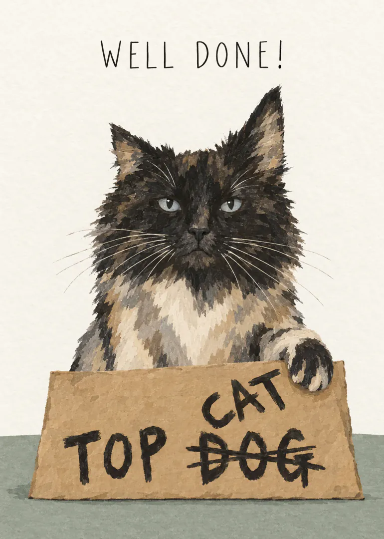 Painted fluffy dark cat holding a cardboard sign reading “Top Cat”, with “Dog” crossed out.