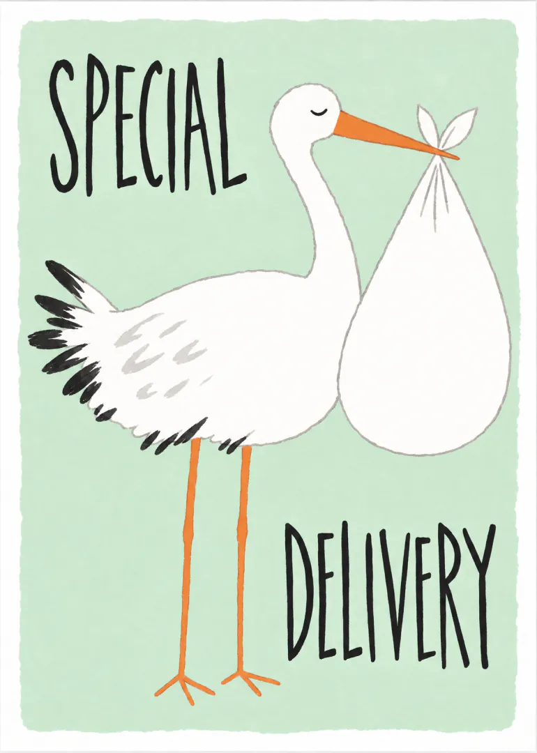 Hand-drawn white stork carrying a baby bundle on a mint green background with the words “Special Delivery”.