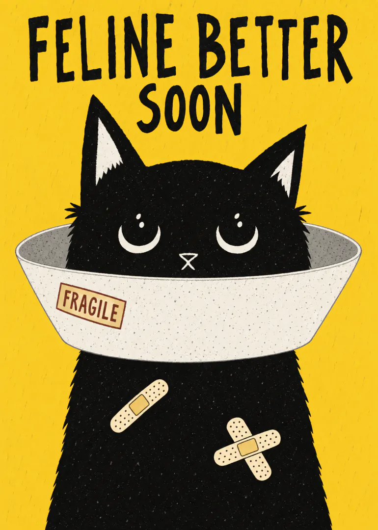 Yellow get well card showing a black cat with bandages and a fragile cone collar.