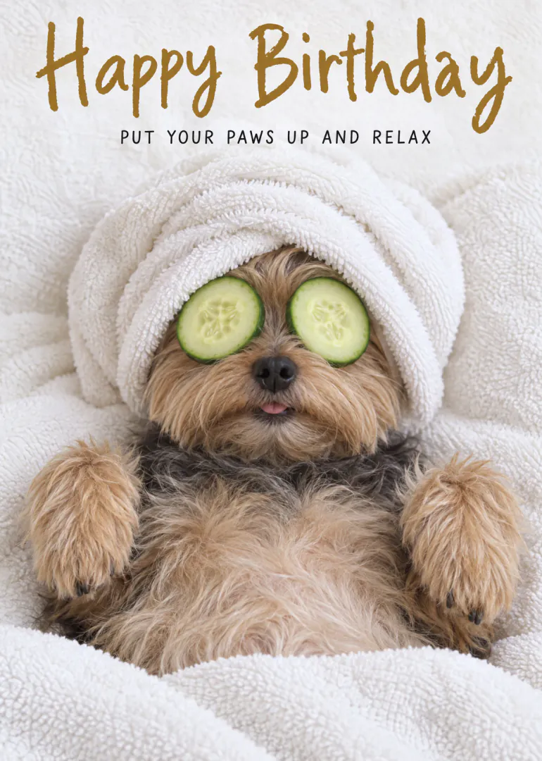 A small dog wearing a white towel turban and cucumber eye masks beneath birthday wording.