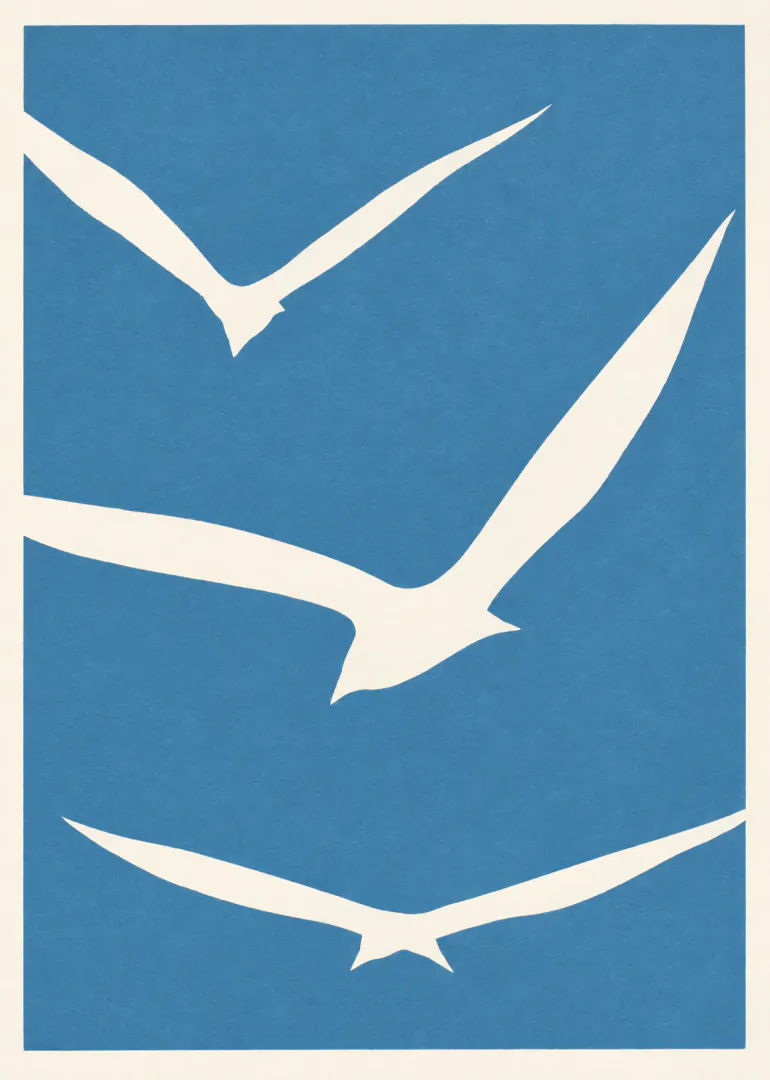 Three stylised white seagulls flying against a textured blue background.