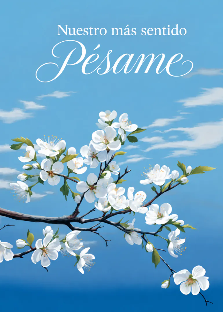 Spanish sympathy card with white blossoms on branches against a blue sky.