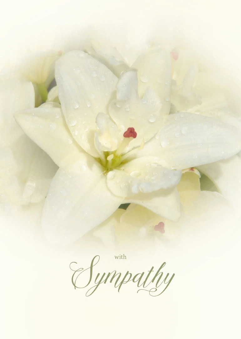 Soft white lilies with water droplets and elegant with Sympathy lettering on a cream background.