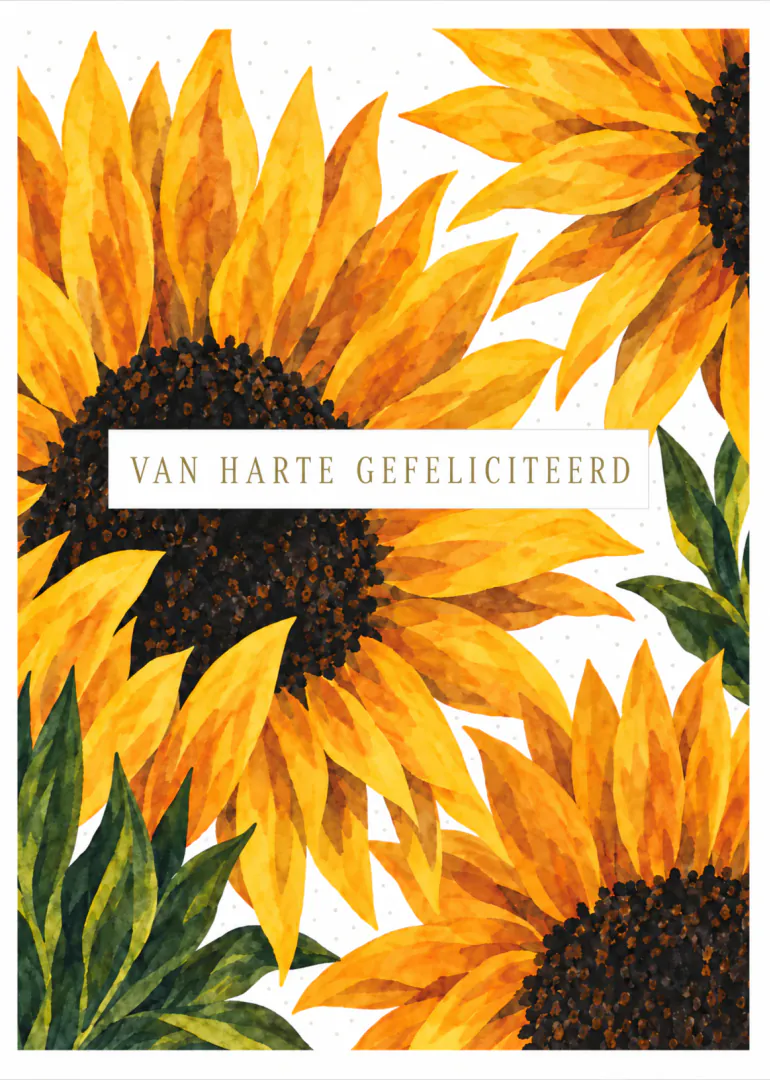 Witte kaart met grote geschilderde gele zonnebloemen en de tekst ‘VAN HARTE GEFELICITEERD’.