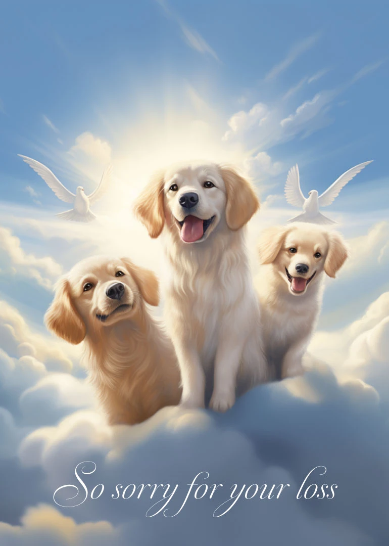 Three golden retriever puppies sit on clouds beneath doves in a sky with sympathy wording.