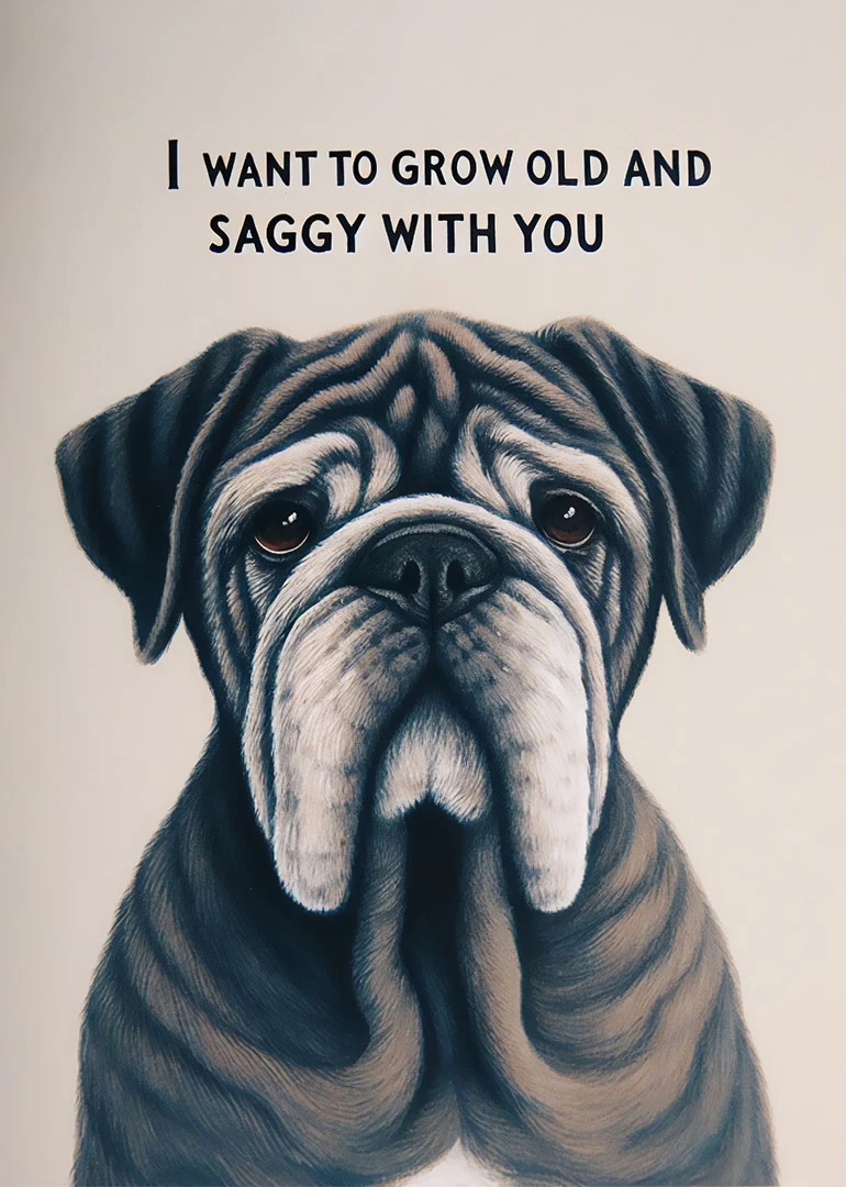 Wrinkly bulldog illustration with the message I want to grow old and saggy with you.