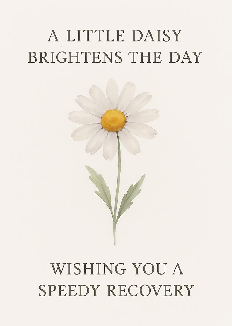 Single daisy flower with message wishing speedy recovery