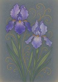 Elegant Purple Iris Flowers with Gold Swirls on Blue Background