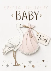 Stork carrying a pink bundle marked Twins with special delivery baby wording.