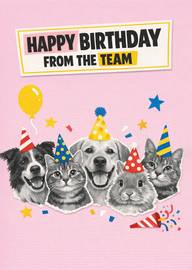 Birthday card with party animals cat dog and rabbit festive hats