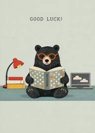 Bear wearing glasses reading revision book wishing good luck