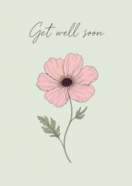 Get Well Soon Pink Flower on Soft Green Background Card