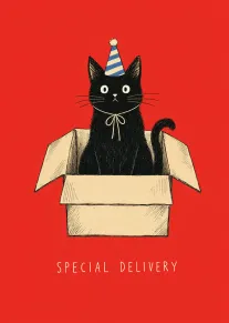 Black cat sitting in a box wearing a party hat with Special Delivery text below.