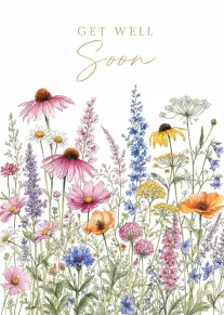 Get Well Soon Floral Meadow Card with Delicate Wildflowers Illustration