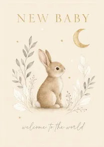 Watercolour rabbit sits beneath moon and stars, with New Baby and welcome to the world.