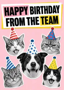Black and white cats and a dog wear party hats on a pink birthday card.