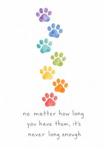 Rainbow paw prints and heartfelt words for pet loss comfort