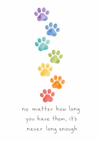 Rainbow watercolor paw prints trail down the card above a comforting message about pet loss.