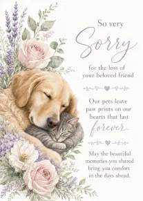 Watercolour dog and cat cuddling among pastel flowers with heartfelt sympathy wording.