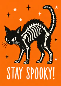Orange Halloween card featuring a black arched cat with a white skeleton and the words “STAY SPOOKY!”