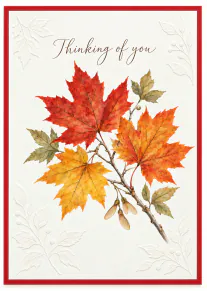Thinking of You Autumn Leaves Card
