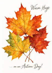 Watercolour illustration of orange, yellow, green and red maple leaves with warm hugs wording.