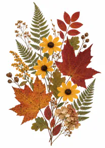 A vertical arrangement of pressed autumn leaves, fern fronds and yellow flowers on a white background.