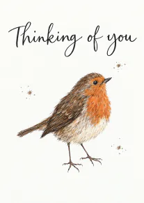 White card featuring a hand-drawn robin beneath the words “Thinking of you”.