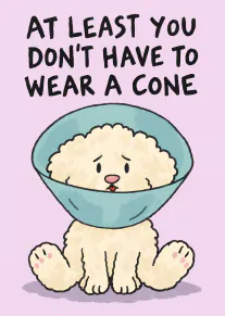 Illustrated fluffy cream dog wearing a blue veterinary cone with a humorous get well message.