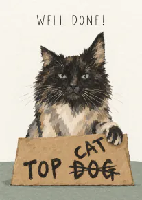 Painted fluffy dark cat holding a cardboard sign reading “Top Cat”, with “Dog” crossed out.
