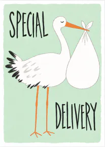 Hand-drawn white stork carrying a baby bundle on a mint green background with the words “Special Delivery”.