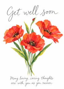 Watercolour red poppies with a ladybird and get well soon message on a white background.