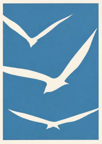 White Seagulls on Blue