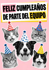 Tarjeta rosa con cinco animales en sombreros de fiesta y el mensaje «FELIZ CUMPLEAÑOS DE PARTE DEL EQUIPO».