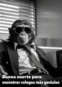 Tarjeta en blanco y negro con un chimpancé de traje y gafas de sol junto al mensaje de buena suerte para encontrar colegas mejores.