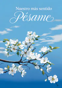 Spanish sympathy card with white blossoms on branches against a blue sky.