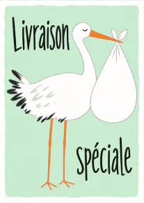 Carte vert menthe montrant une cigogne blanche portant un baluchon, avec le texte « Livraison spéciale ».