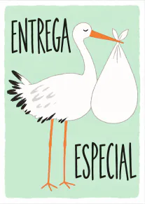 Tarjeta verde menta con una cigüeña blanca que lleva un hatillo y el texto «ENTREGA ESPECIAL».