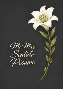 Tarjeta negra con un lirio blanco y el texto «Mi Más Sentido Pésame».