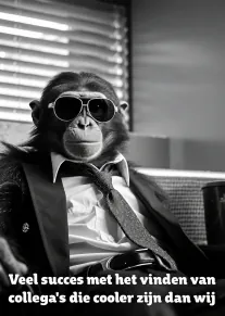 Zwart-witfoto van een chimpansee in pak met zonnebril en de tekst over coolere collega’s.