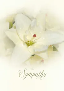 Soft white lilies with water droplets and elegant with Sympathy lettering on a cream background.