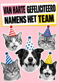 Roze felicitatiekaart met vijf dierenkoppen in feesthoedjes en de tekst ‘VAN HARTE GEFELICITEERD NAMENS HET TEAM’.