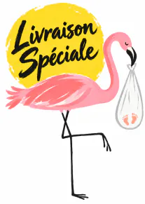 Carte blanche montrant un flamant rose portant un baluchon avec des empreintes de bébé, devant un soleil jaune et le texte « Livraison Spéciale ».