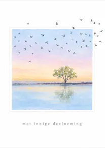 Aquarel van een boom bij weerspiegelend water onder een pastelkleurige lucht met vliegende vogels, met de tekst ‘met innige deelneming’.