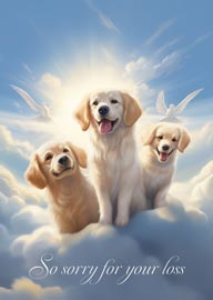 Sympathy card with three golden retriever dogs and doves in clouds
