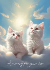 Two fluffy white kittens sit in glowing clouds beneath a sunny blue sky, with wording.