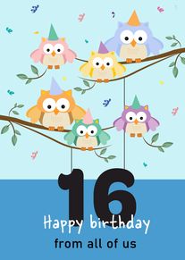 Five owls on branches celebrate 16 with confetti and happy birthday from all of us.